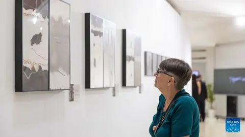 观众在贝尔格莱德观看“AI时代的中国水墨艺术”巡展