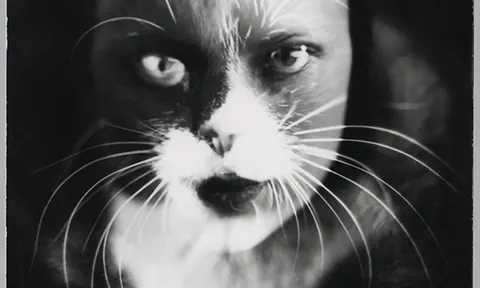 Wanda Wulz 1932 年摄影蒙太奇作品《I + Cat》局部