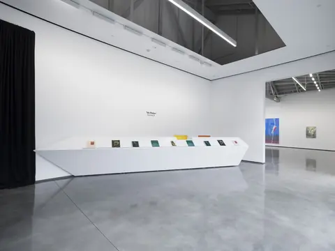 塔拉·马达尼“Control X”展览装置图