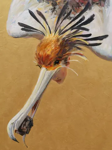 Lisson Gallery 发布的苏州当代美术馆开馆展相关作品或展陈画面