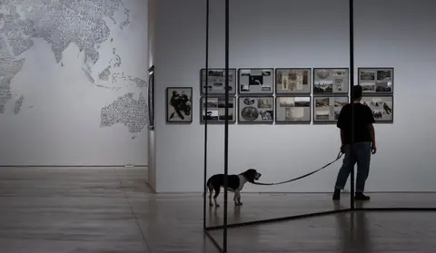雅典国家当代艺术博物馆 2025—26 年展览“Why Look at Animals?”的装置现场