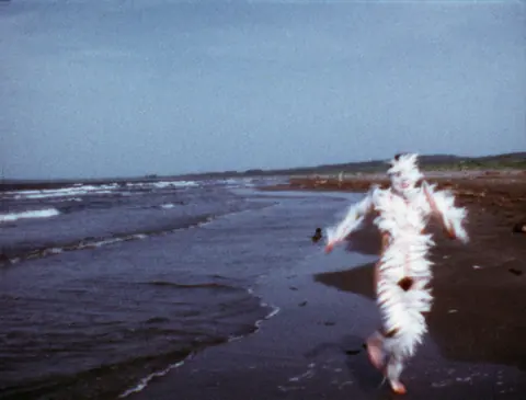 Ana Mendieta 1974 年作品《Bird Run》的影像画面。